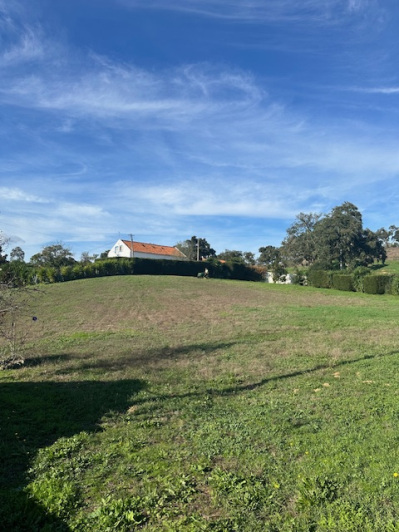 Image No.17-Propriété de pays de 6 chambres à vendre à São Luís