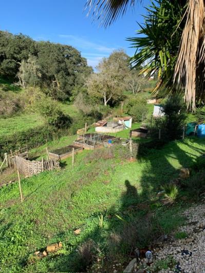 Image No.22-Propriété de pays de 6 chambres à vendre à São Luís