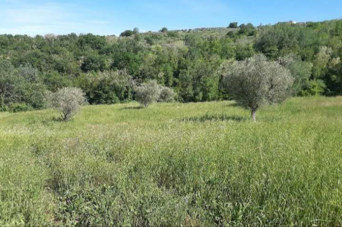 Image No.2-Farmhouse for sale