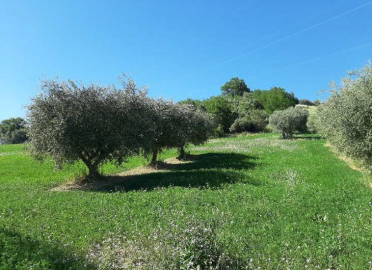 Immagine-2026-01-18-120209