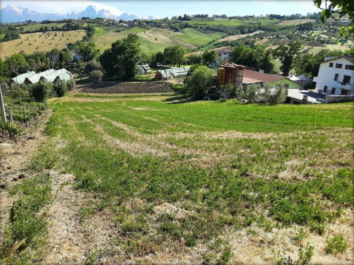 Image No.3-Farmhouse for sale