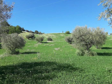 Immagine-2026-01-18-120223