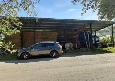 Immagine-2026-01-18-120313