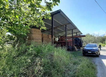 Immagine-2026-01-18-120328