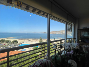 listing8928650032e0003b4a1500x100081969611419