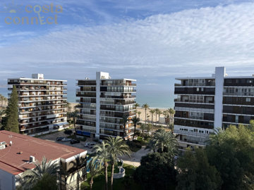 listing9336060013d6ddd1bb1500x100081969611419