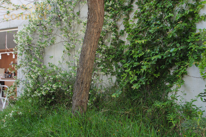 Image No.15-3 Bed Villa for sale