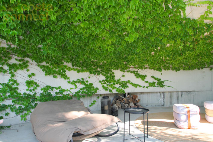 Image No.3-3 Bed Villa for sale