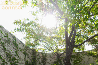 listing9622180011cdc408b41500x100081969611419