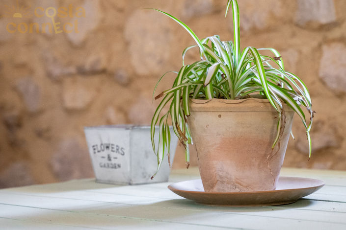 Image No.47-12 Bed Property for sale