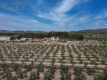 listing9625610005cbdac2ea1500x100081969611419