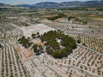 listing9625610001d4147f6b1500x100081969611419