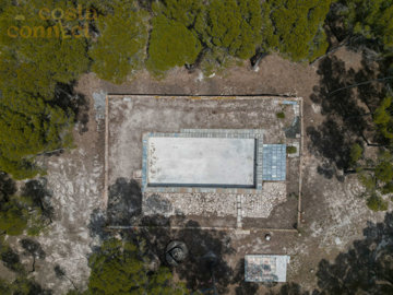 listing96256100033309ab4e1500x100081969611419