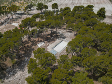 listing96256100041c24db7a1500x100081969611419