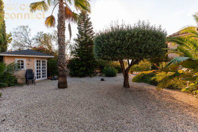 listing96090800158a62ed911500x100081969611419