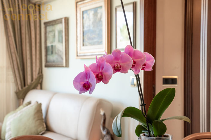 Image No.10-5 Bed Apartment for sale