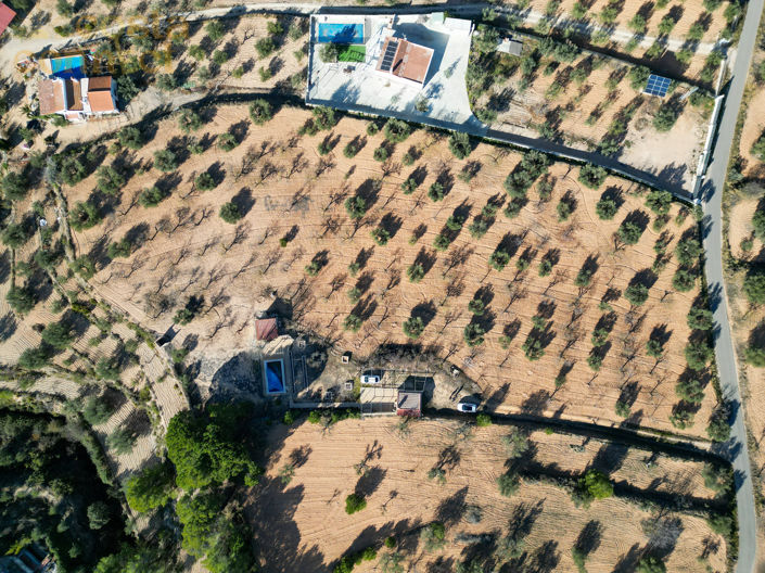 Image No.3-1 Bed Plot for sale