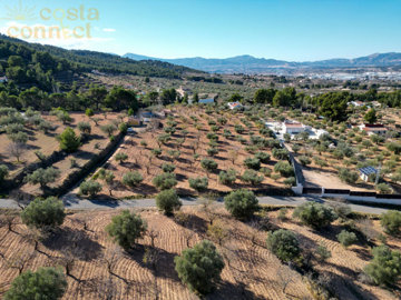 listing96091200062e7969661500x100081969611419