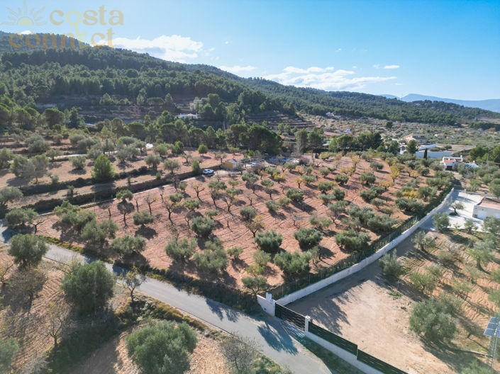 Image No.7-1 Bed Plot for sale