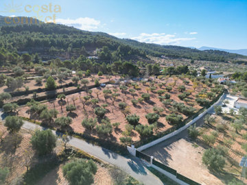 listing9609120007fb16ecc91500x100081969611419