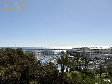 listing9668550025d82a0a781500x100081969611419