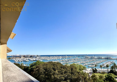 listing9700910010d3398d551500x100081969611419