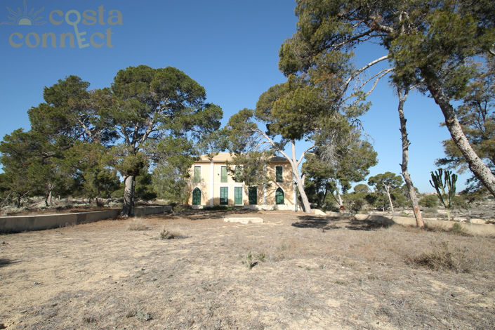 Image No.3-Villa de 7 chambres à vendre à Espagne