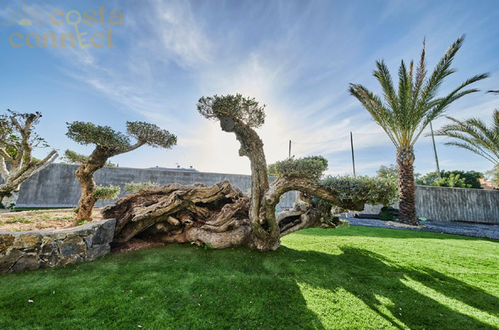 Image No.3-Villa de 3 chambres à vendre à Alicante