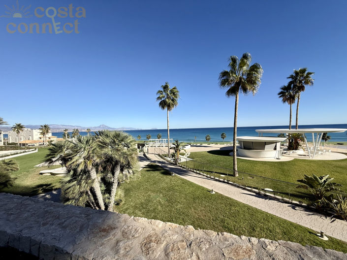 Image No.4-Appartement de 4 chambres à vendre à Alicante