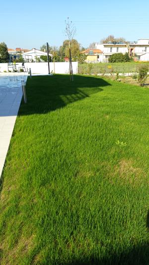 Image No.24-4 Bed Villa for sale