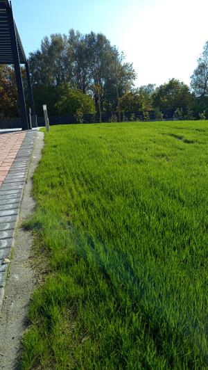 Image No.27-4 Bed Villa for sale