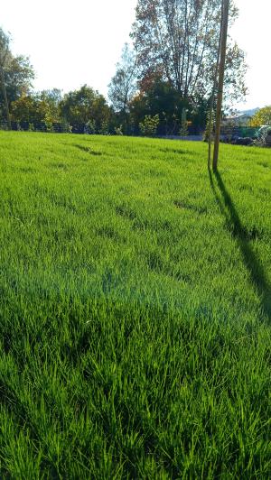 Image No.51-4 Bed Villa for sale