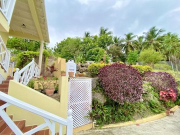 d1903117-2eff-4085-afa6-2b3b0a9bf8b3