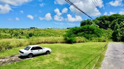 75a0c8a7-22cf-4090-ba94-27ea639cb1c3