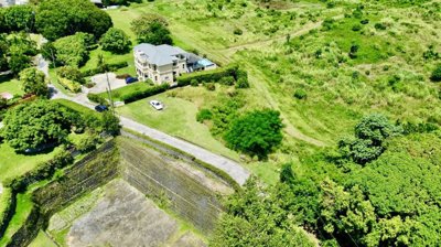 56cb76de-e295-4441-a4e1-1e0881cea496