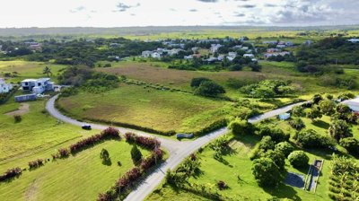 13b3eeb8-f004-474c-8ad1-29b2c9d79a20