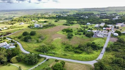 99646961-7945-4d31-921a-945a014d1a8a