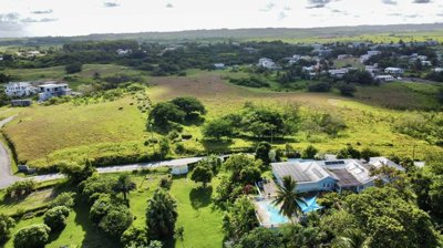 ed729700-b4db-4104-978c-9392f7cdf771