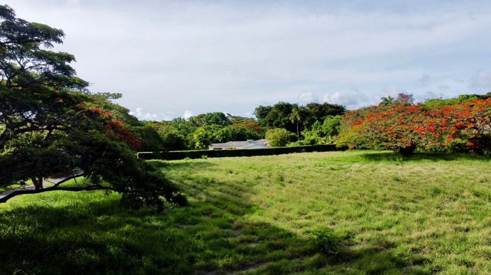 Image No.6-Land for sale