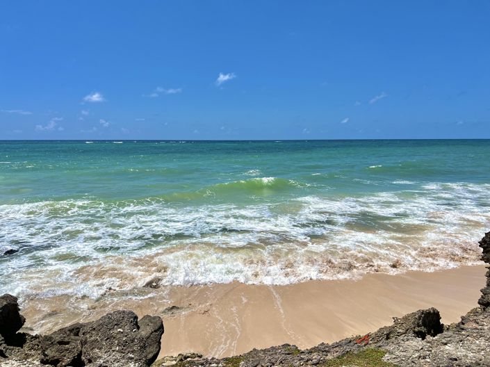 Image No.14-Land for sale