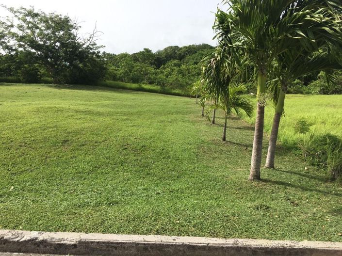 Image No.2-Land for sale
