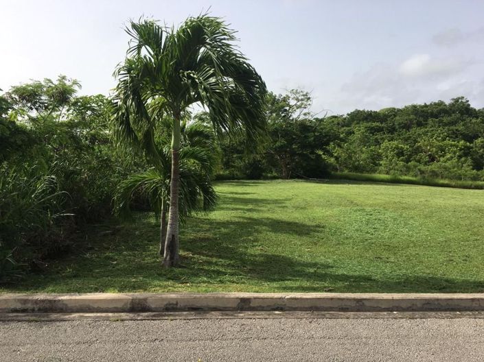 Image No.3-Land for sale