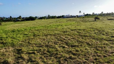 a3fcc91d-f501-4efb-a549-88b60e387045