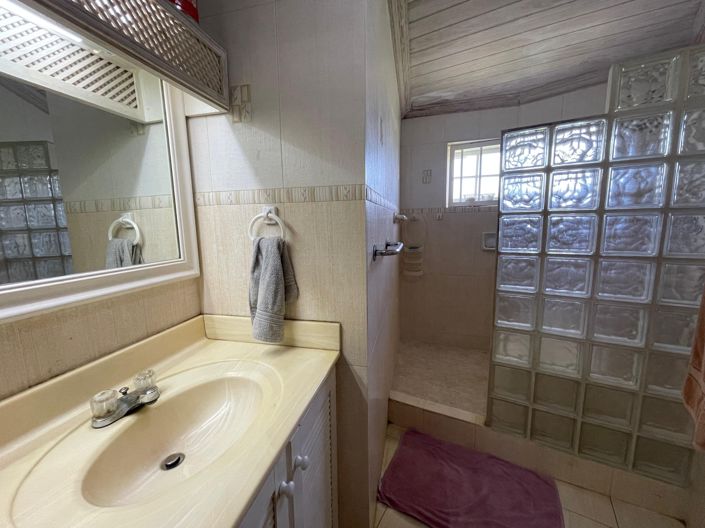 Image No.19-4 Bed House for sale