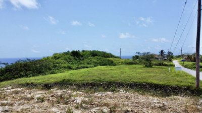 cd2eccbd-fe01-4459-84fb-a9ba912e45c2