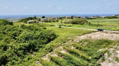 370e36eb-c667-4bd9-95d7-764a3cadda7c