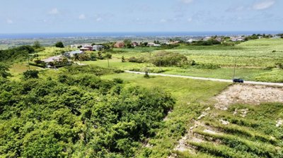 7c328d1f-cf31-4268-94d7-a5362ac68ea8