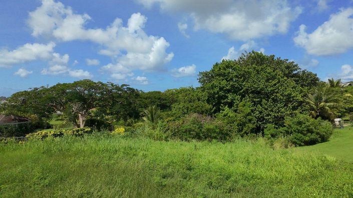 Image No.3-Land for sale