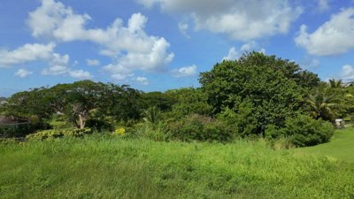 d02c7d3f-b0f9-481c-9cc5-8670699e613b