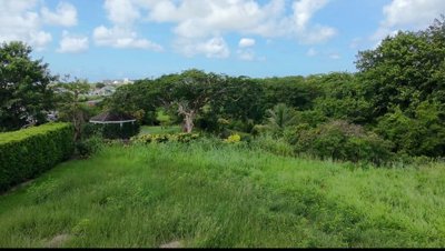 4eed19da-10d3-4de0-bf05-ddeddd48ed0c